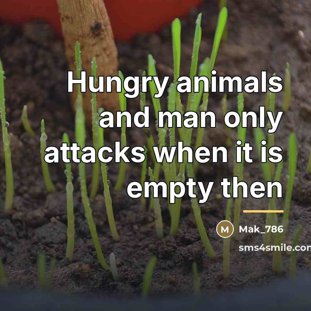 “Hungry animals and man only attacks when it is empty…” quote by Mak_786