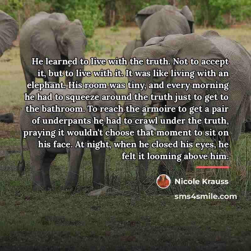 “He learned to live with the truth. Not to accept…” quote by Nicole Krauss