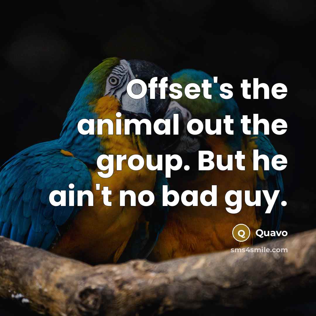 “Offset's the animal out the group. But he ain't no…” quote by Quavo