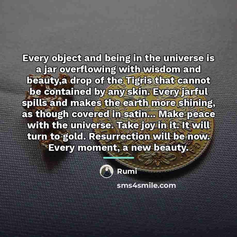 “Every object and being in the universe is a jar…” quote by Rumi