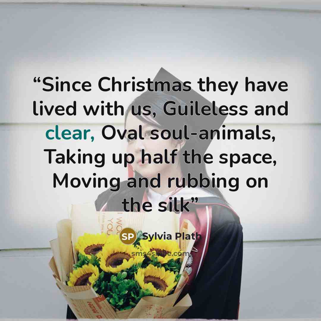 “Since Christmas they have lived with us, Guileless and clear, Oval soul-animals, Taking up half the space, Moving and rubbing on the silk” quote by Sylvia Plath