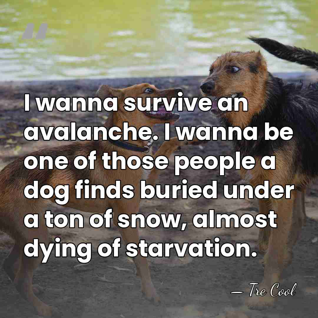 I wanna survive an avalanche. I wanna be one of those people&hellip; - Tre Cool