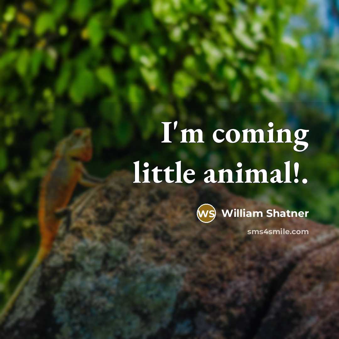 “I'm coming little animal!.…” quote by William Shatner