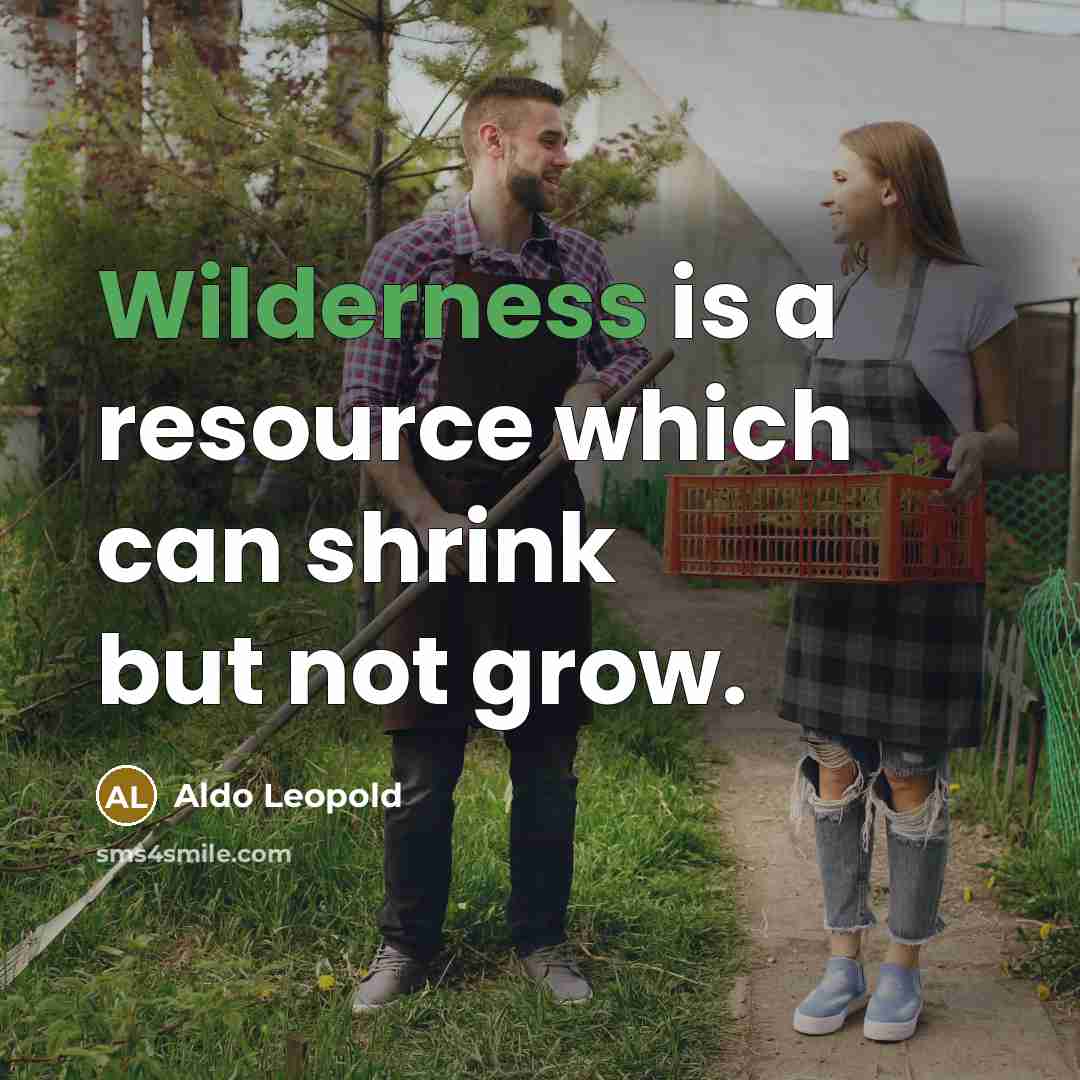 “Wilderness is a resource which can shrink but not grow.…” quote by Aldo Leopold