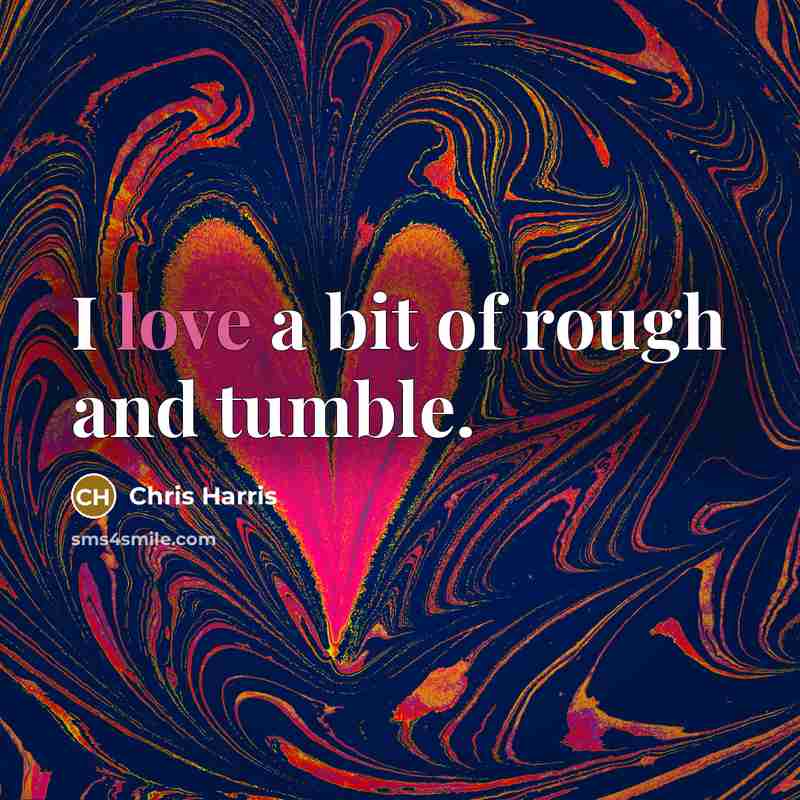 “I love a bit of rough and tumble.…” quote by Chris Harris