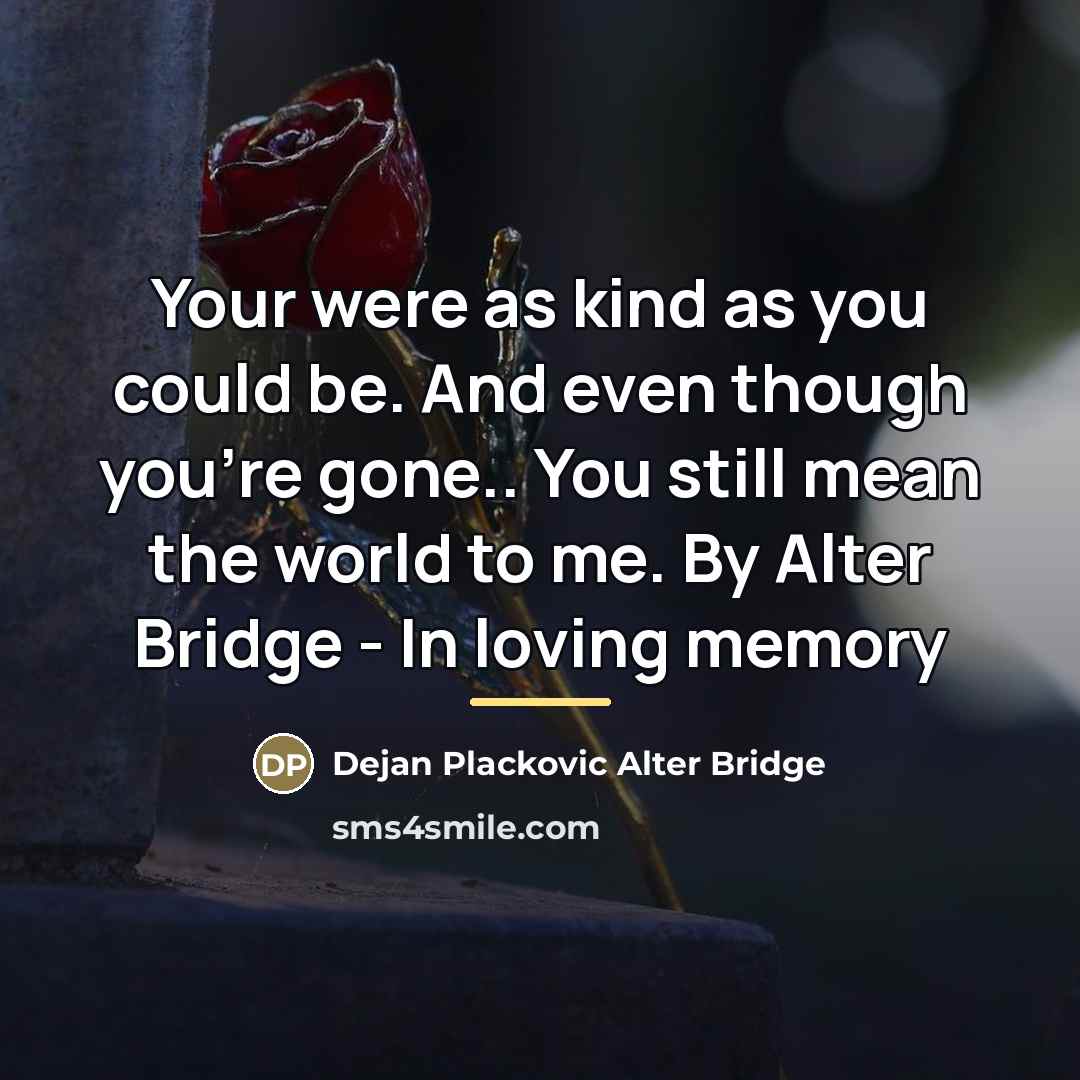 “Your were as kind as you could be. And even…” quote by Dejan Plackovic Alter Bridge