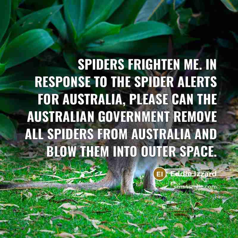 “Spiders frighten me. In response to the spider alerts for…” quote by Eddie Izzard