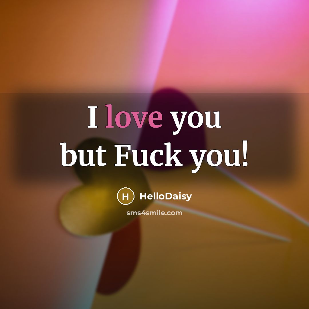 “I love you but Fuck you!…” quote by HelloDaisy