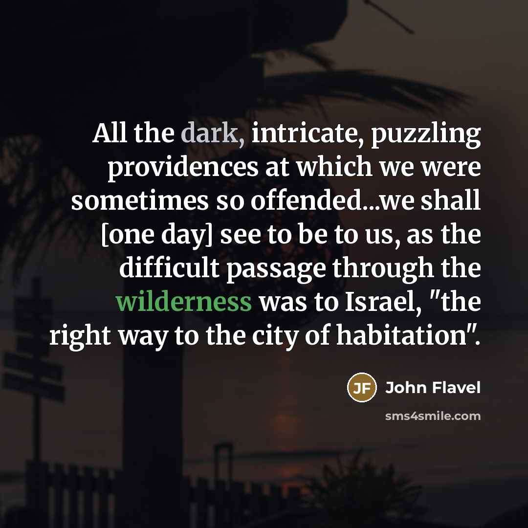 “All the dark, intricate, puzzling providences at which we were…” quote by John Flavel