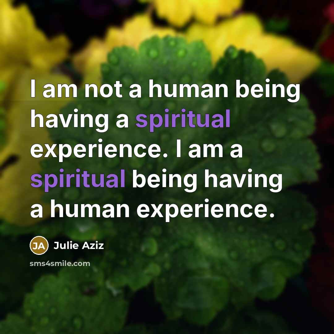 “I am not a human being having a spiritual experience. I am a spiritual being having a human experience.” quote by Julie Aziz