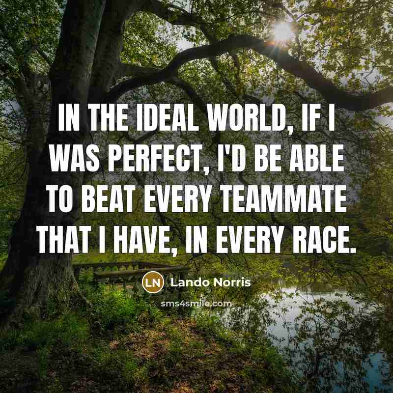 “In the ideal world, if I was perfect, I'd be…” quote by Lando Norris