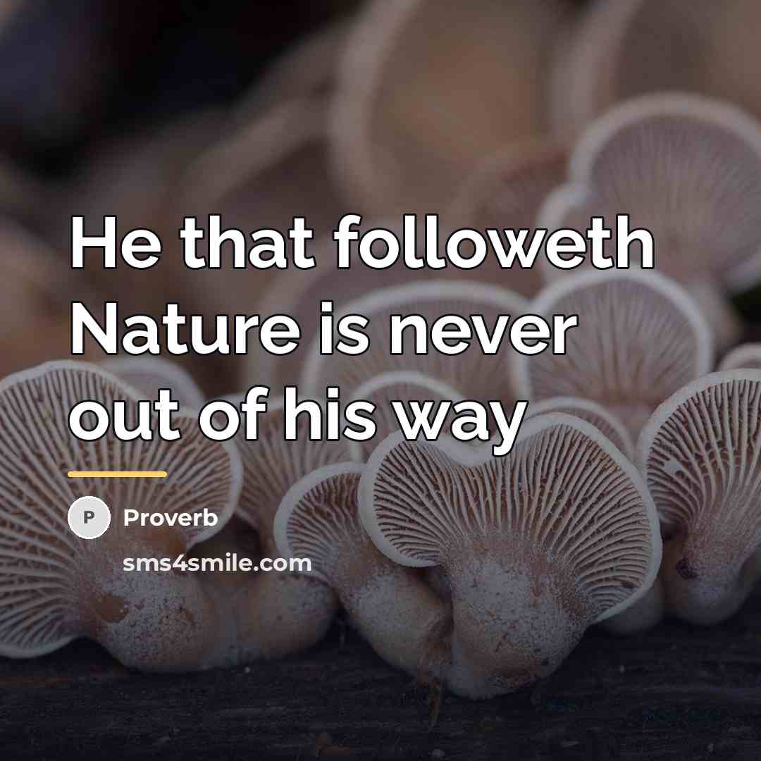 “He that followeth Nature is never out of his way…” quote by Proverb