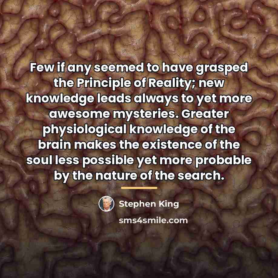 “Few if any seemed to have grasped the Principle of…” quote by Stephen King