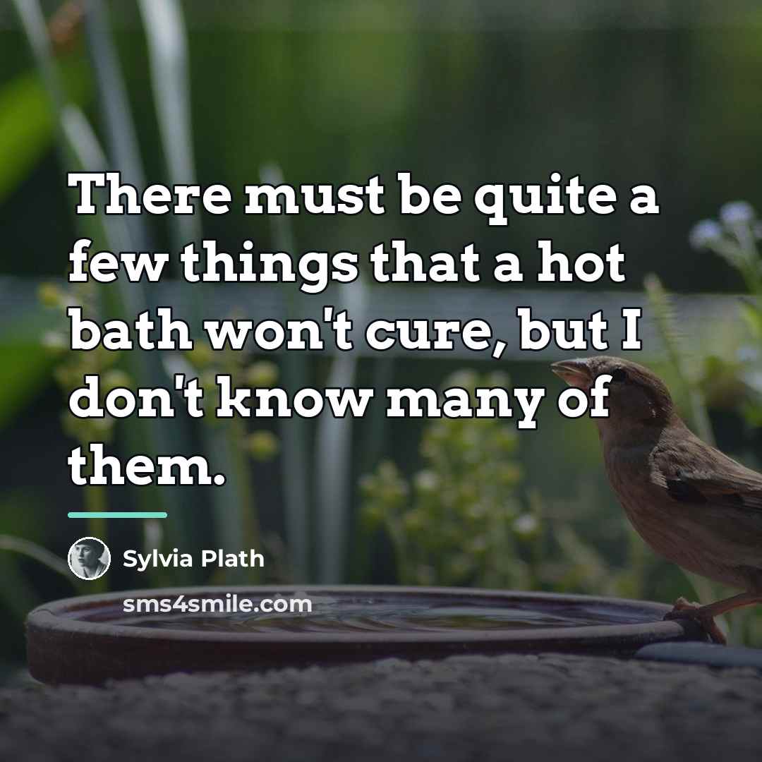 “There must be quite a few things that a hot…” quote by Sylvia Plath