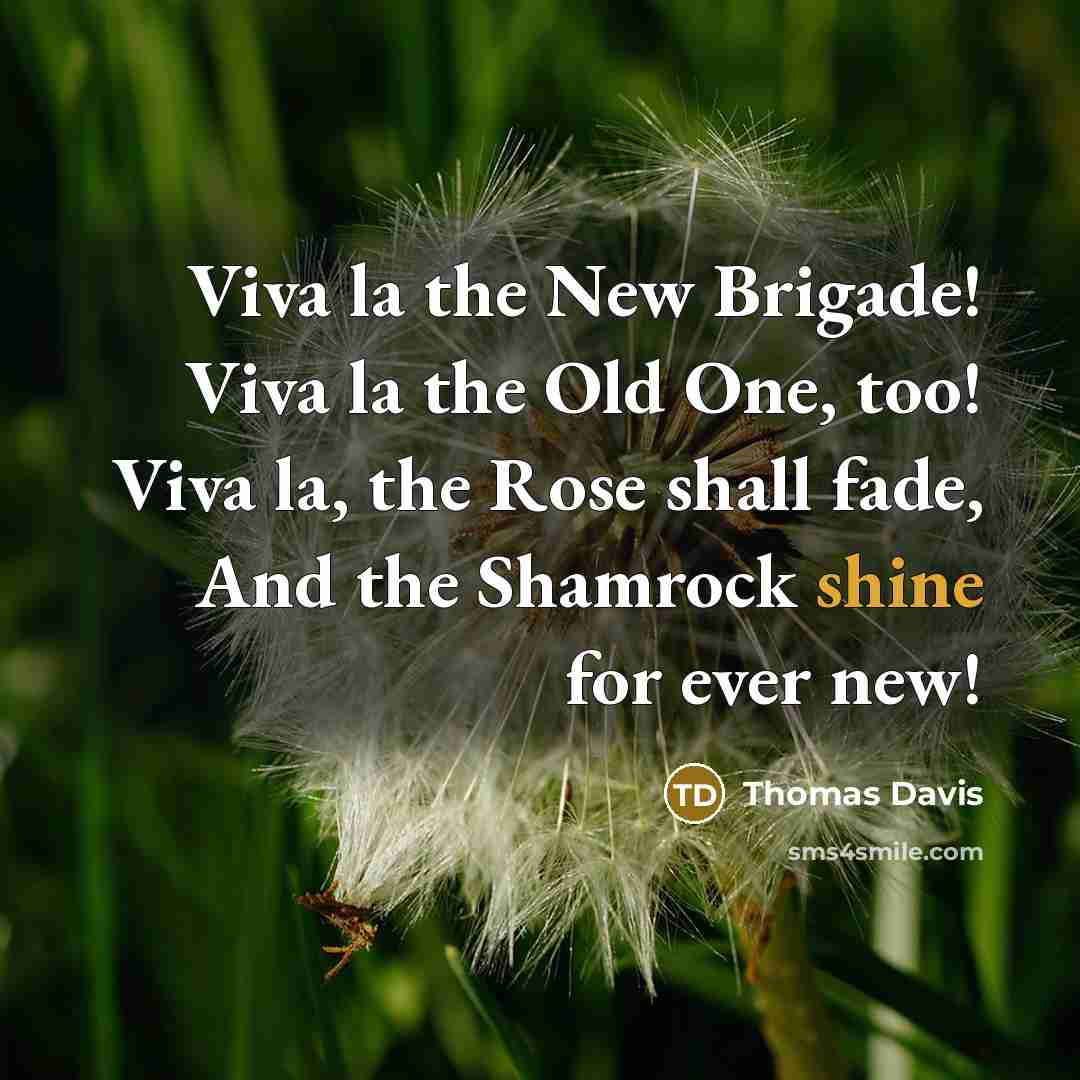 “Viva la the New Brigade! Viva la the Old One,…” quote by Thomas Davis