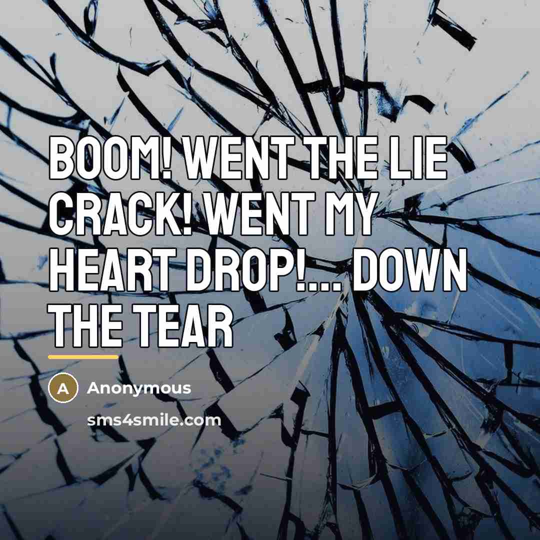 “BOOM! went the lie CRACK! went my heart DROP!... down…” quote by Anonymous