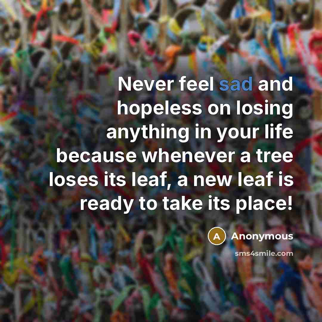 “Never feel sad and hopeless on losing anything in your…” quote by Anonymous