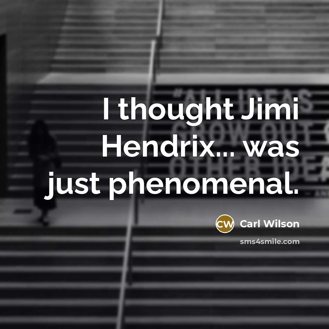 “I thought Jimi Hendrix... was just phenomenal.…” quote by Carl Wilson