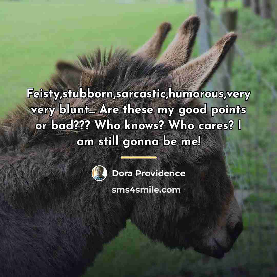 “Feisty,stubborn,sarcastic,humorous,very very blunt... Are these my good points or bad???…” quote by Dora Providence
