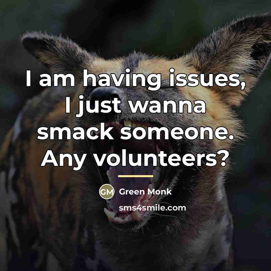 “I am having issues, I just wanna smack someone. Any…” quote by Green Monk