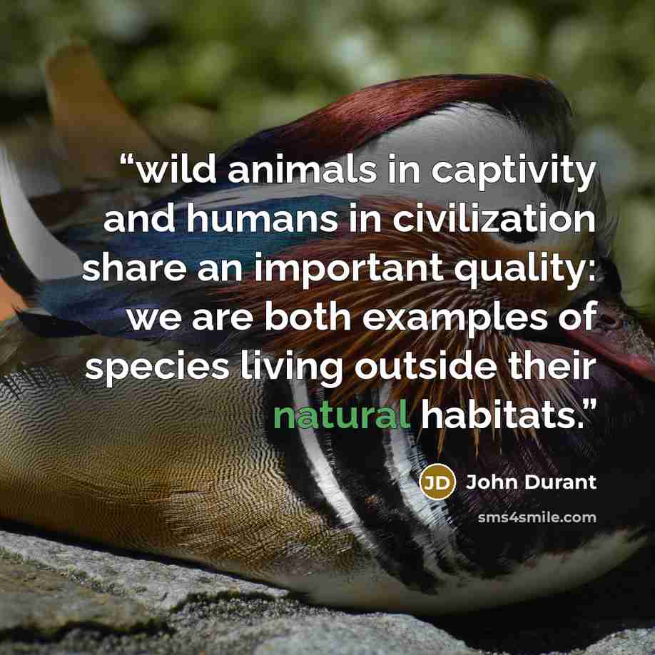 “wild animals in captivity and humans in civilization share an important quality: we are both examples of species living outside their natural habitats.” quote by John Durant