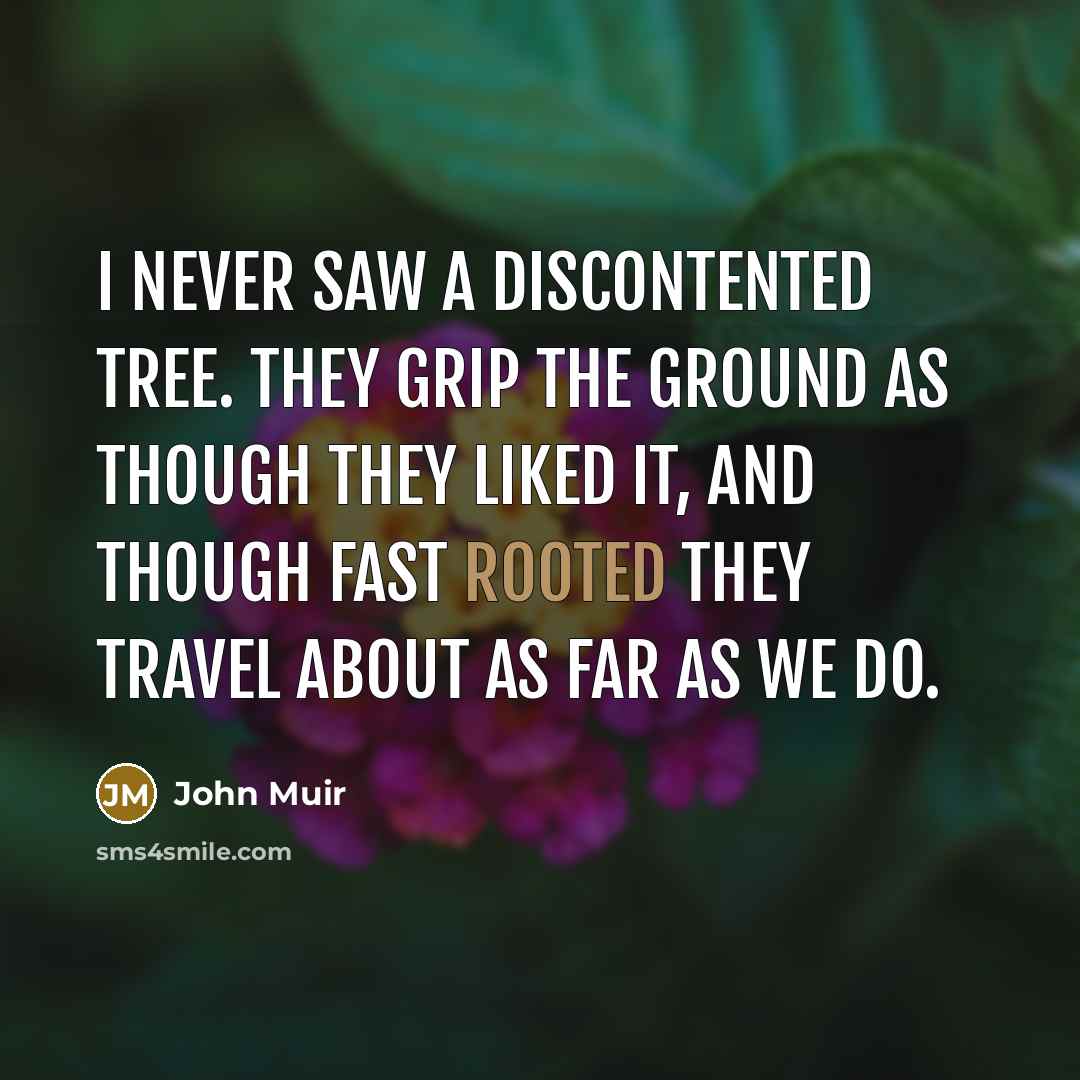 “I never saw a discontented tree. They grip the ground…” quote by John Muir