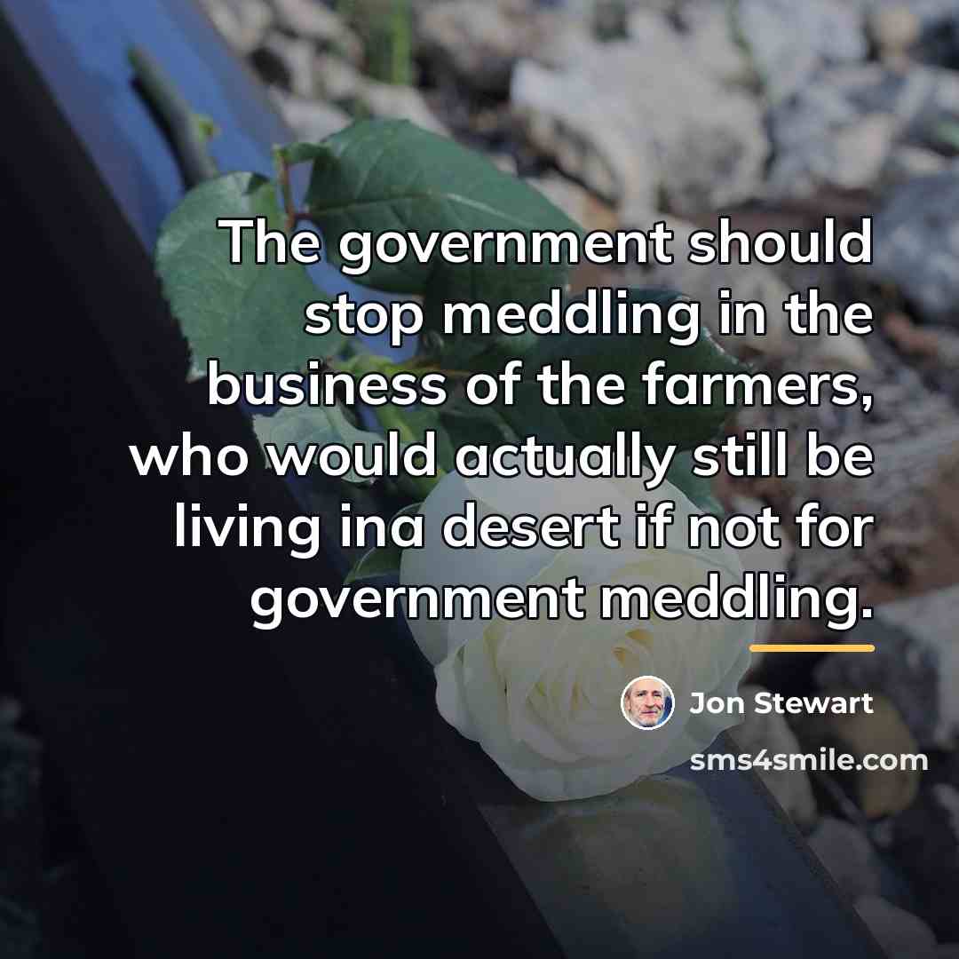 “The government should stop meddling in the business of the…” quote by Jon Stewart