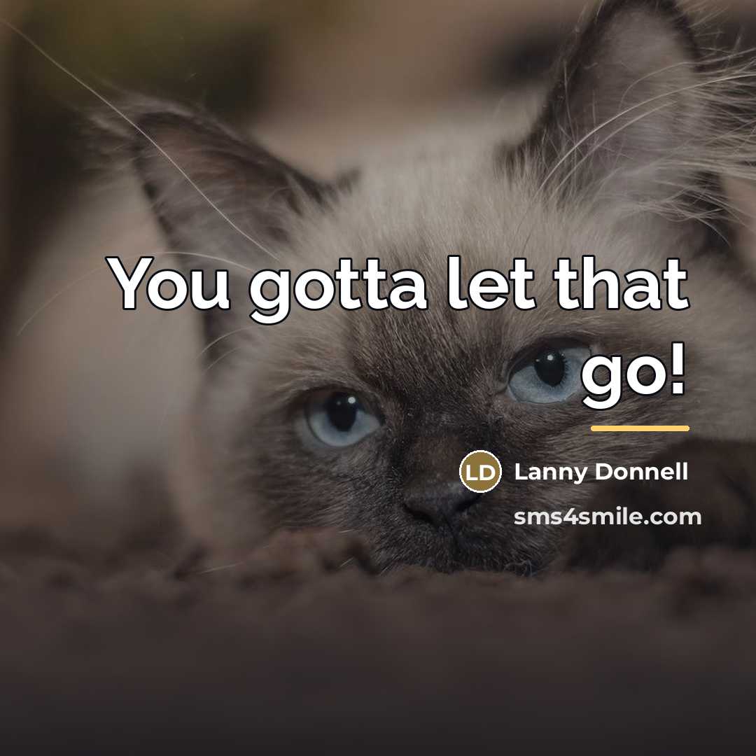 “You gotta let that go!…” quote by Lanny Donnell