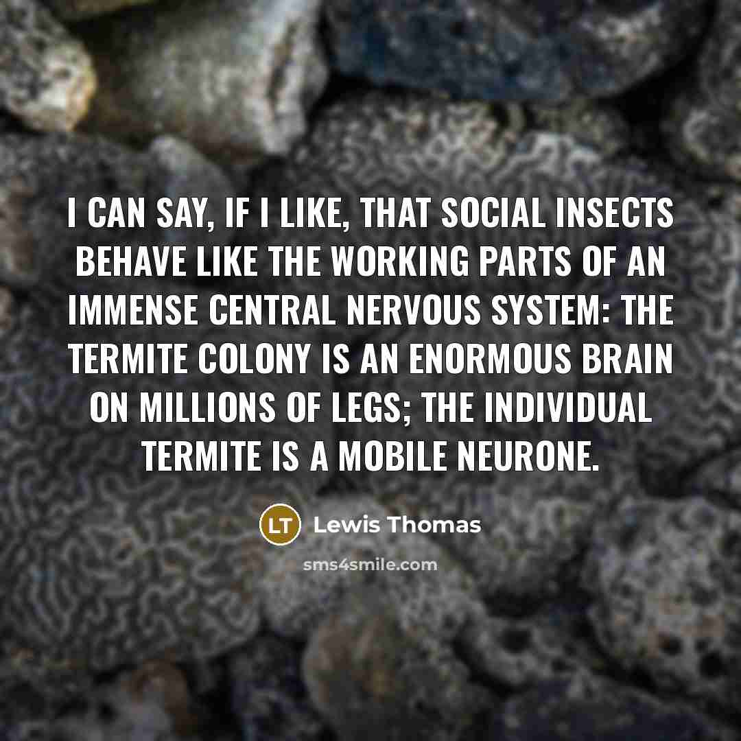 “I can say, if I like, that social insects behave…” quote by Lewis Thomas