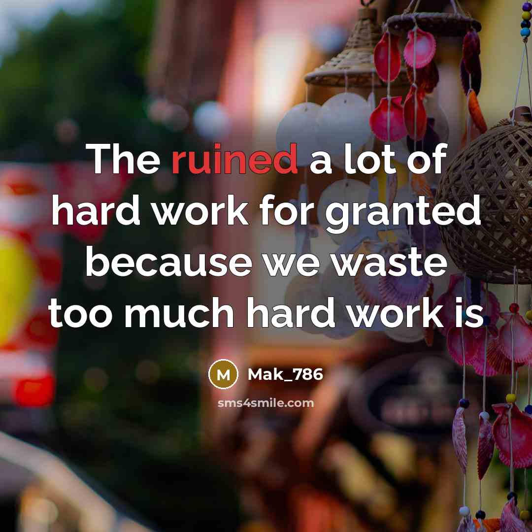 “The ruined a lot of hard work for granted because…” quote by Mak_786
