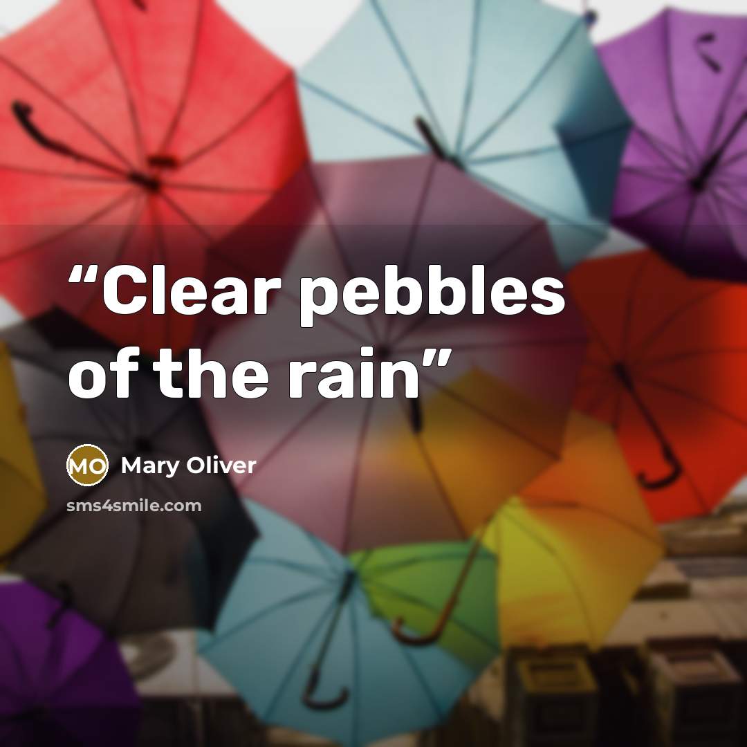 “Clear pebbles of the rain” quote by Mary Oliver