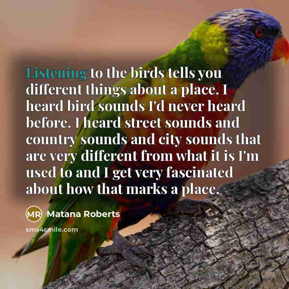 “Listening to the birds tells you different things about a…” quote by Matana Roberts