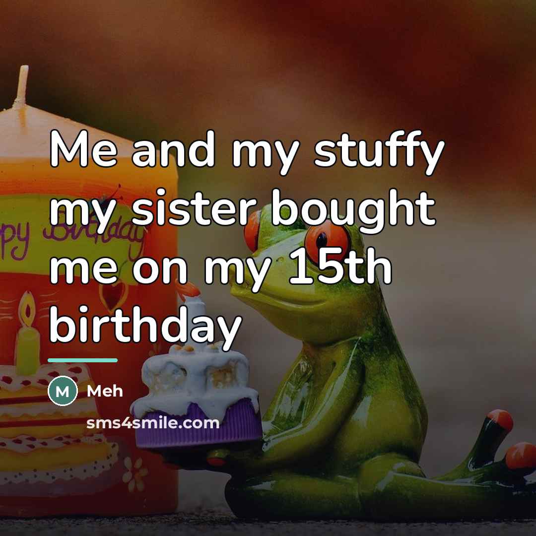 “Me and my stuffy my sister bought me on my…” quote by Meh