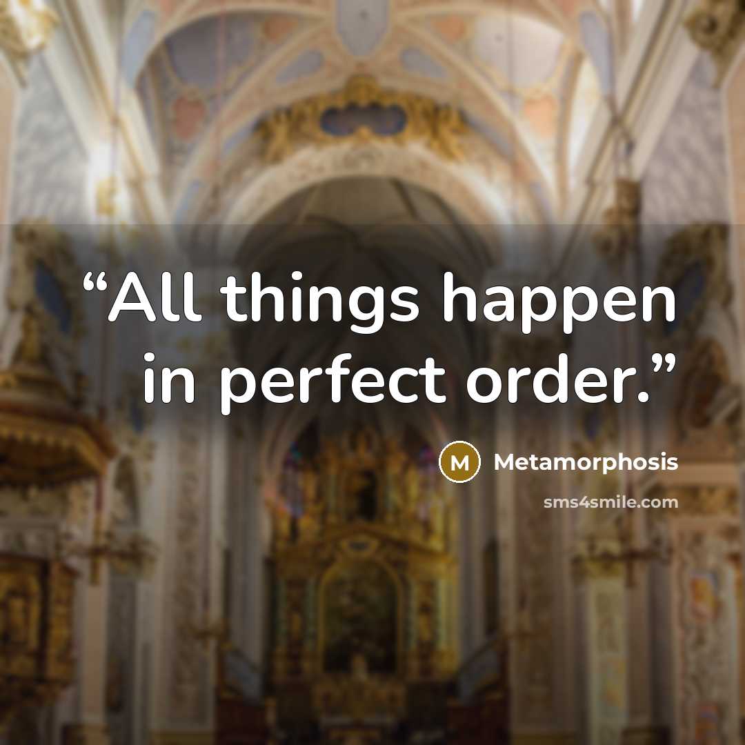 “All things happen in perfect order.” quote by Metamorphosis