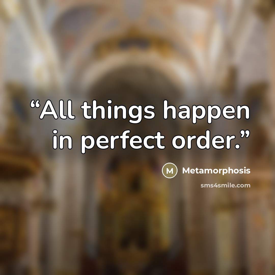 “All things happen in perfect order.” quote by Metamorphosis