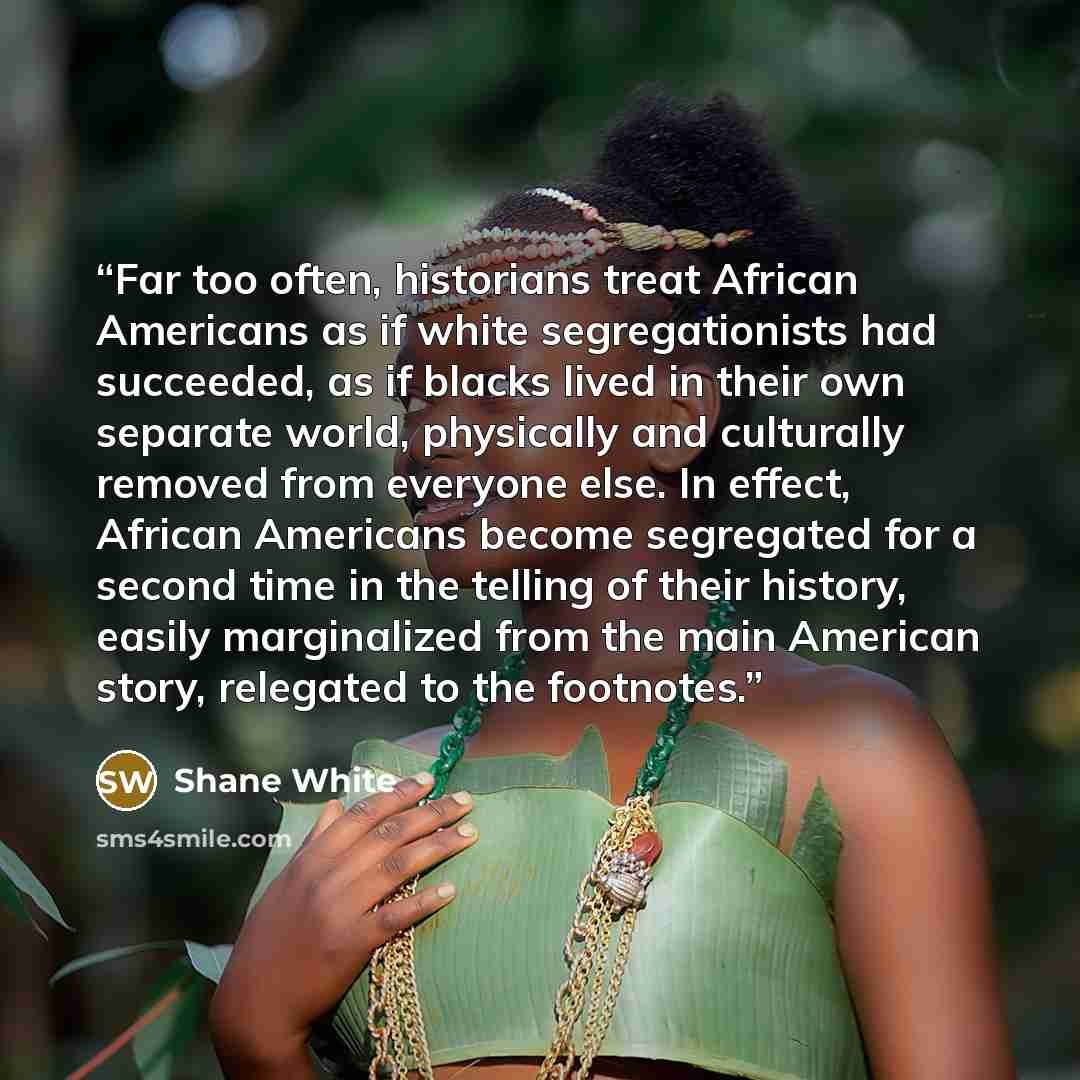 “Far too often, historians treat African Americans as if white segregationists had succeeded, as if blacks lived in their own separate world, physically and culturally removed from everyone else. In effect, African Americans become segregated for a second time in the telling of their history…” quote by Shane White