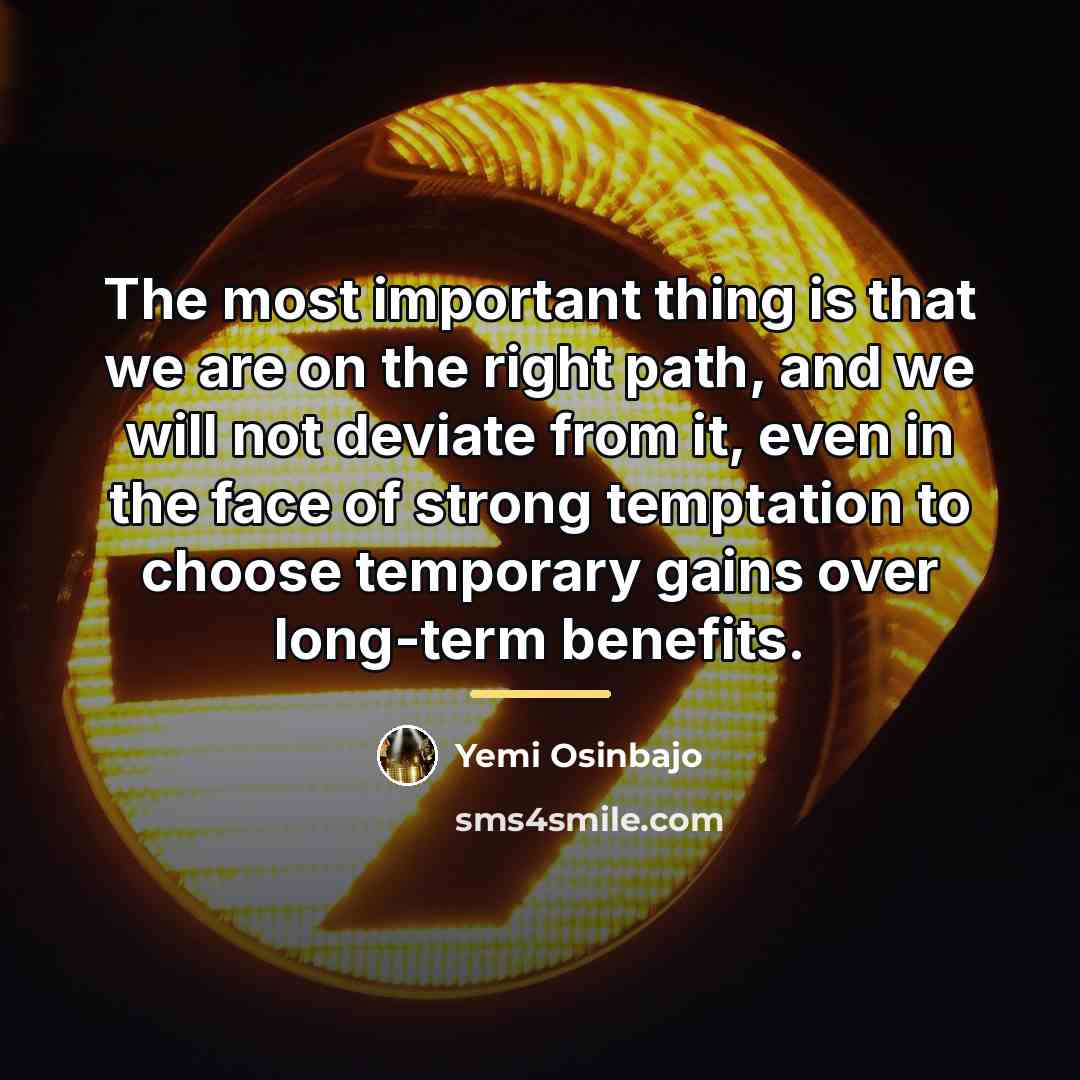 “The most important thing is that we are on the…” quote by Yemi Osinbajo