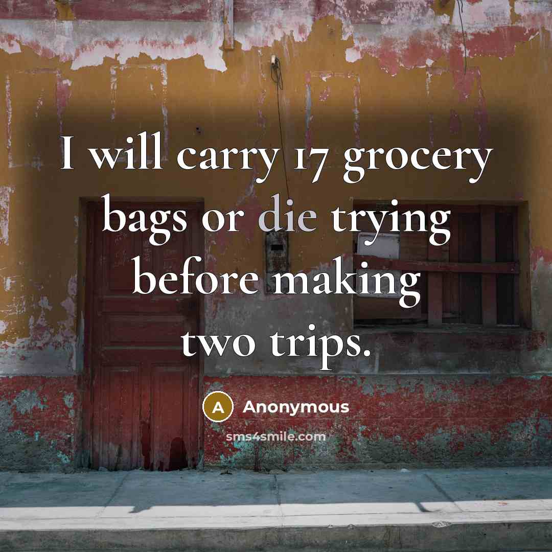 “I will carry 17 grocery bags or die trying before…” quote by Anonymous
