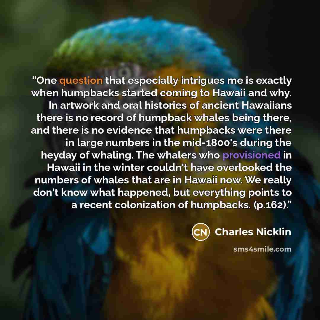 “One question that especially intrigues me is exactly when humpbacks started coming to Hawaii and why. In artwork and oral histories of ancient Hawaiians there is no record of humpback whales being there, and there is no evidence that humpbacks were there in large numbers in the mid-1800's during…” quote by Charles Nicklin