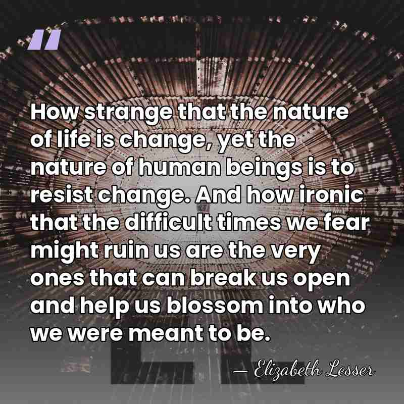 How strange that the nature of life is change, yet the nature&hellip; - Elizabeth Lesser