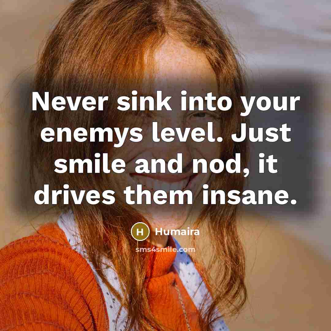 “Never sink into your enemys level. Just smile and nod,…” quote by Humaira