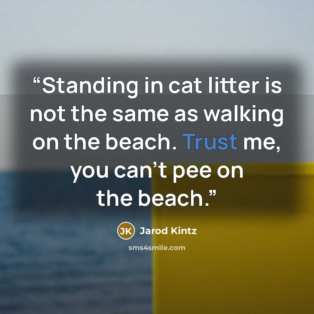 “Standing in cat litter is not the same as walking on the beach. Trust me, you can’t pee on the beach.” quote by Jarod Kintz