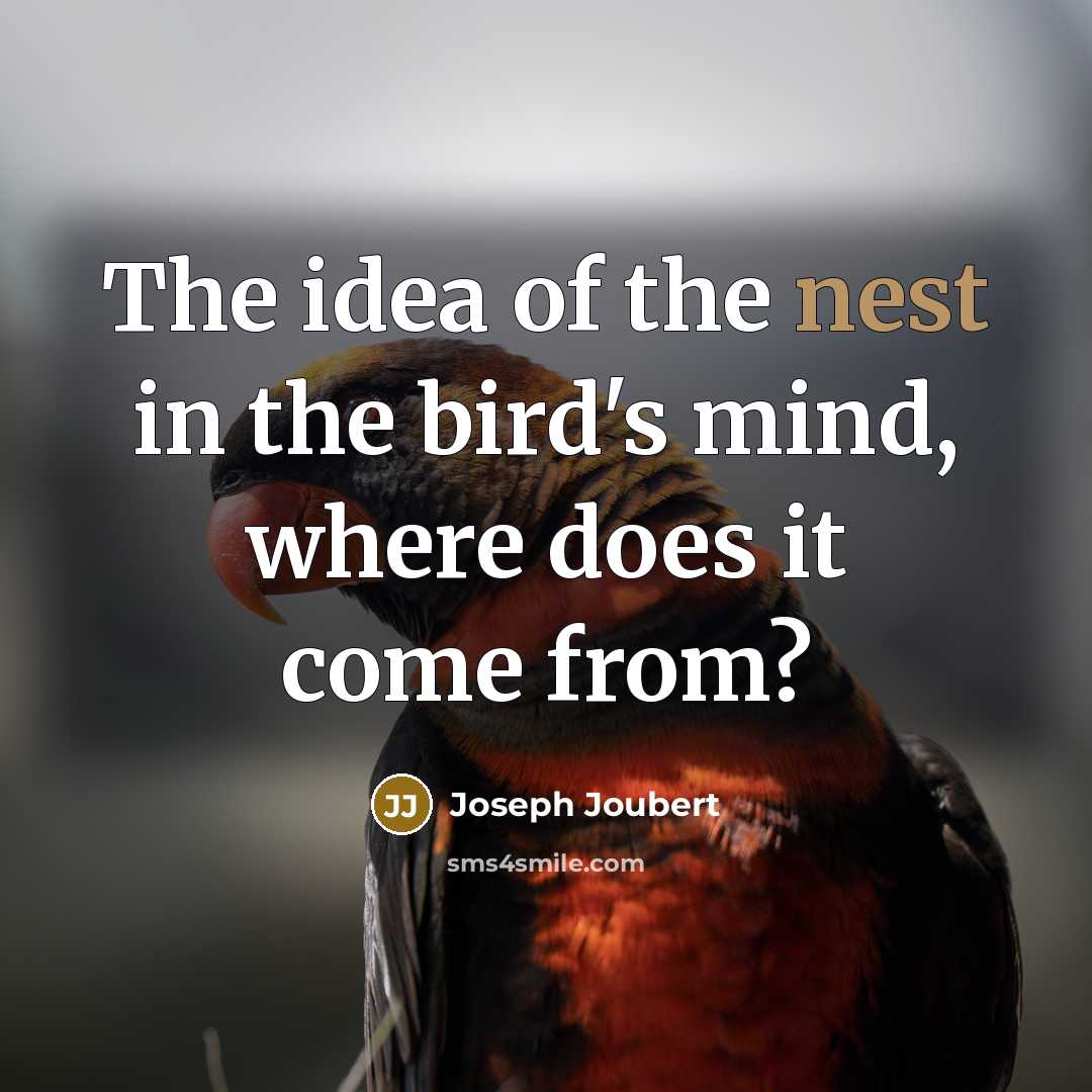 “The idea of the nest in the bird's mind, where…” quote by Joseph Joubert