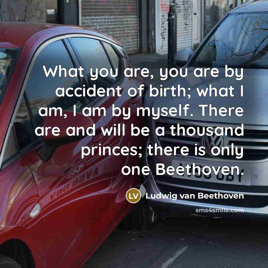 “What you are, you are by accident of birth; what…” quote by Ludwig van Beethoven