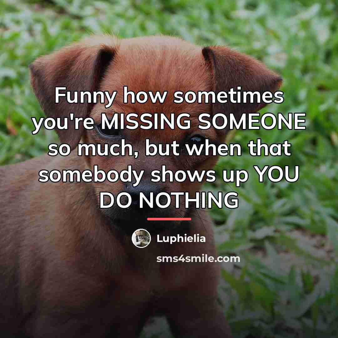“Funny how sometimes you're MISSING SOMEONE so much, but when…” quote by Luphielia