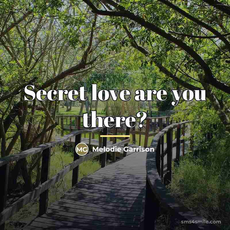“Secret love are you there?…” quote by Melodie Garrison