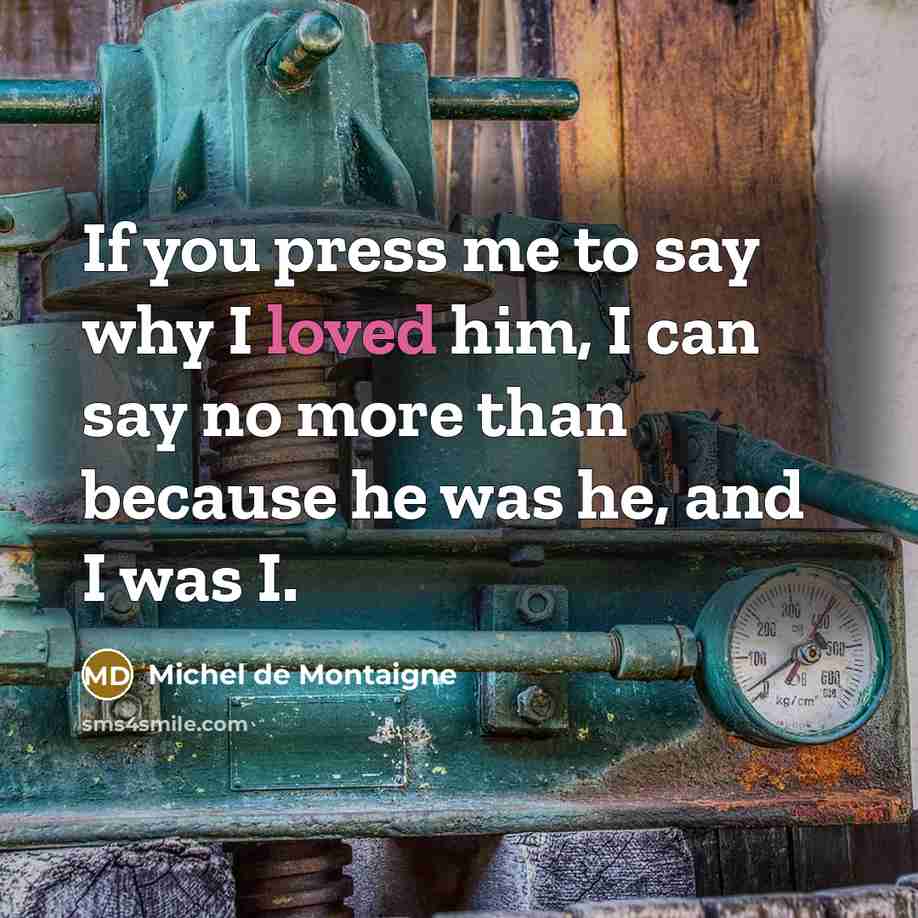 “If you press me to say why I loved him, I can say no more than because he was he, and I was I.” quote by Michel de Montaigne