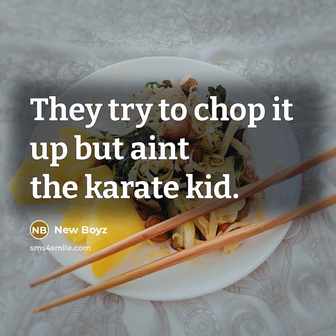 “They try to chop it up but aint the karate kid.” quote by New Boyz