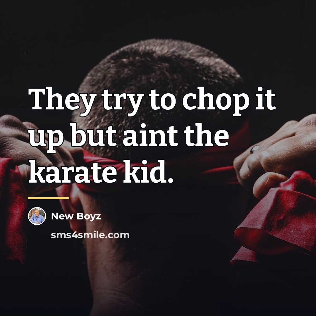 “They try to chop it up but aint the karate…” quote by New Boyz