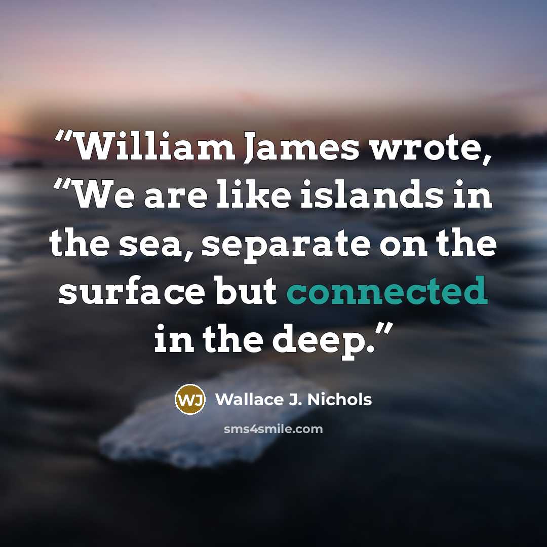 “William James wrote, “We are like islands in the sea, separate on the surface but connected in the deep.” quote by Wallace J. Nichols